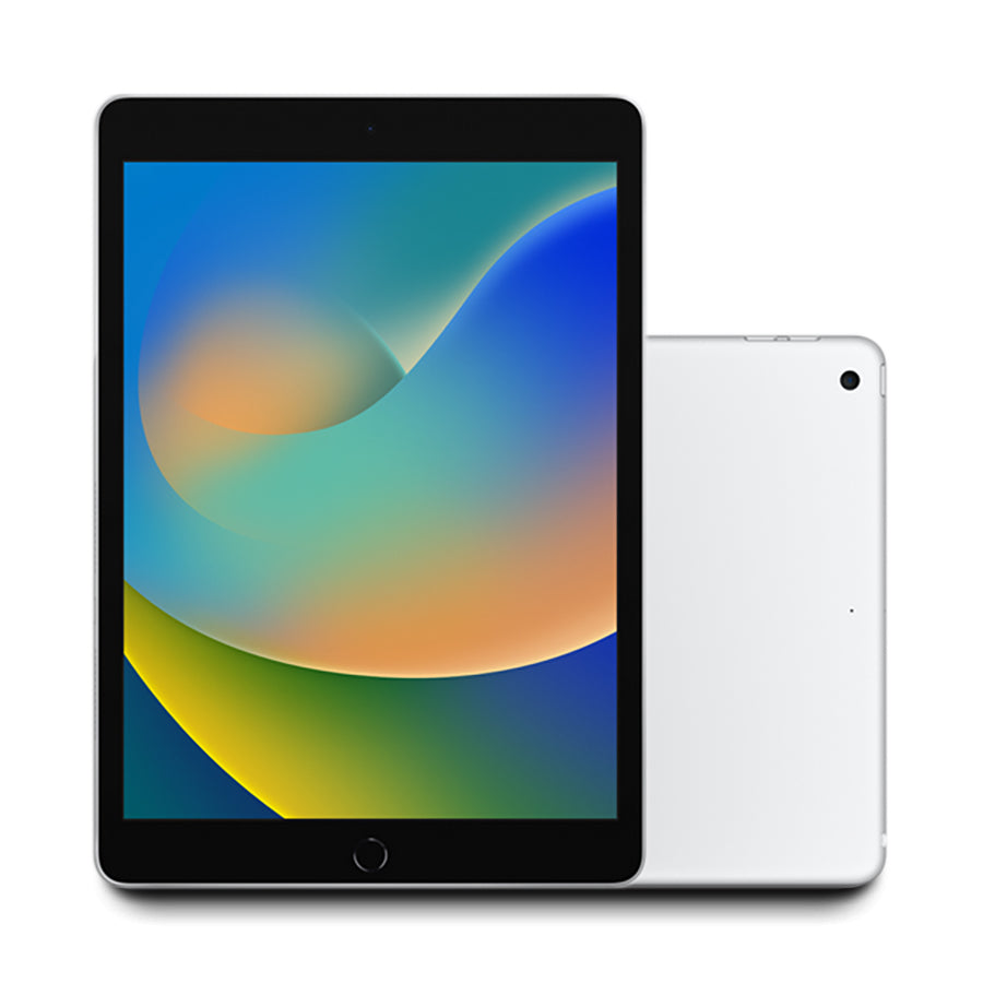 2021 Apple iPad 9 256GB 90%+ Battery WiFi Only 10.2" (Silver) A2602